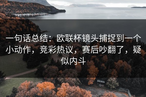 一句话总结：欧联杯镜头捕捉到一个小动作，竞彩热议，赛后吵翻了，疑似内斗
