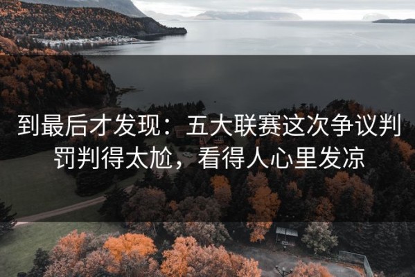 到最后才发现：五大联赛这次争议判罚判得太尬，看得人心里发凉