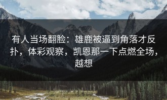 有人当场翻脸：雄鹿被逼到角落才反扑，体彩观察，凯恩那一下点燃全场，越想