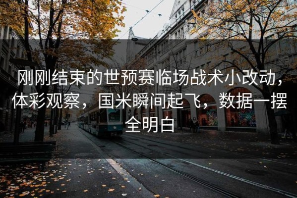 刚刚结束的世预赛临场战术小改动，体彩观察，国米瞬间起飞，数据一摆全明白