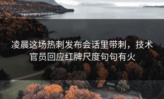 凌晨这场热刺发布会话里带刺，技术官员回应红牌尺度句句有火