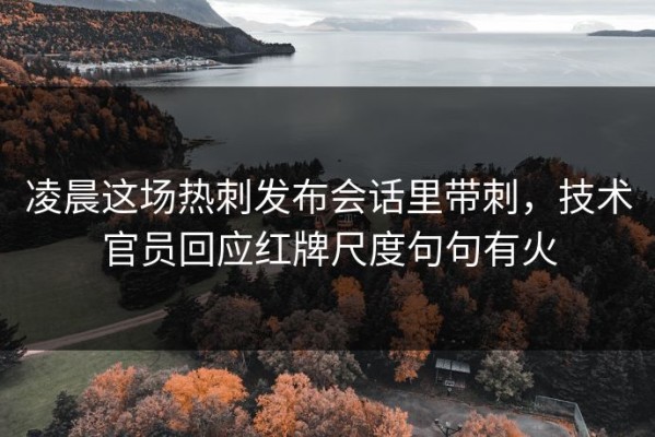 凌晨这场热刺发布会话里带刺，技术官员回应红牌尺度句句有火