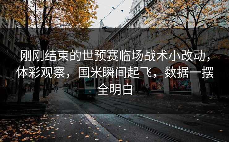 刚刚结束的世预赛临场战术小改动，体彩观察，国米瞬间起飞，数据一摆全明白
