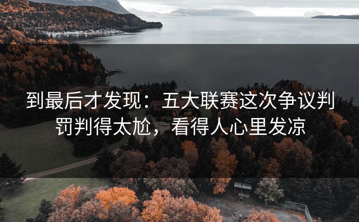 到最后才发现：五大联赛这次争议判罚判得太尬，看得人心里发凉