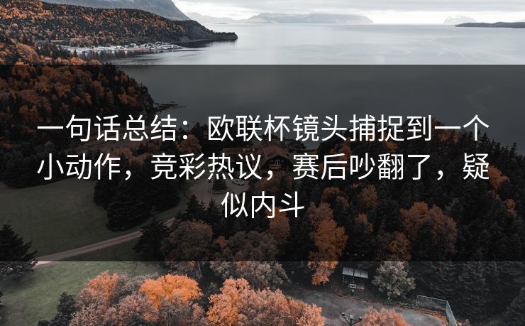 一句话总结：欧联杯镜头捕捉到一个小动作，竞彩热议，赛后吵翻了，疑似内斗