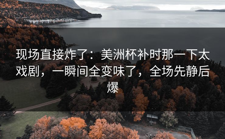 现场直接炸了：美洲杯补时那一下太戏剧，一瞬间全变味了，全场先静后爆