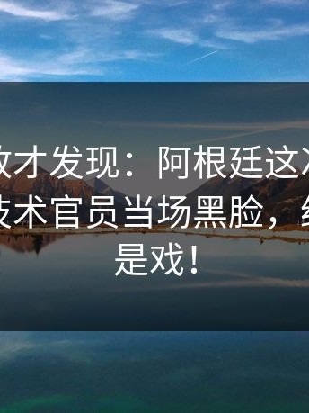 细看回放才发现：阿根廷这次换人太突然，技术官员当场黑脸，细节里全是戏！