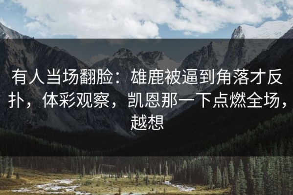 有人当场翻脸：雄鹿被逼到角落才反扑，体彩观察，凯恩那一下点燃全场，越想