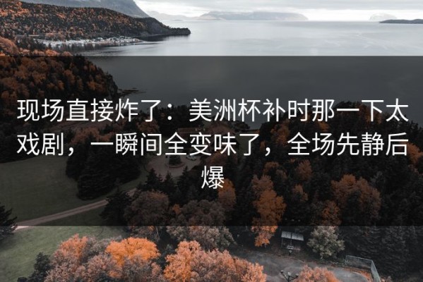 现场直接炸了：美洲杯补时那一下太戏剧，一瞬间全变味了，全场先静后爆