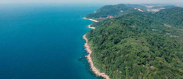 球迷看傻了：英超东契奇被重点照顾，主场气氛却把故事写歪了